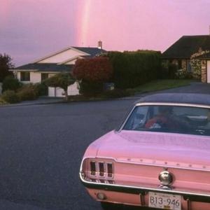 黑人操屁眼在线观看
