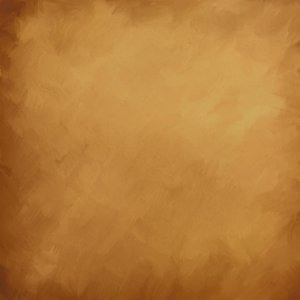 黑人操屁眼在线观看
